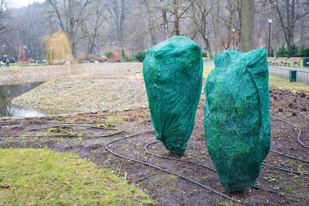 Plants and trees in a park covered with plastic sheets to protect them from frost and coldの写真素材