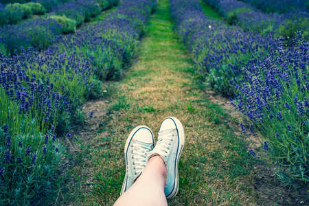 Caucasian girl with canvas shoes laying on the grass in a lavender field, only feet