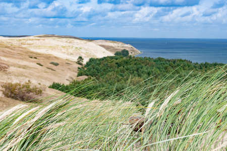 Nagliai Nature Reserve in Neringa, Lithuania. Dead dunes, sand hills built by strong winds, with...