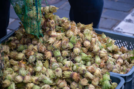 Fresh bio hazelnuts in a street market ready for selling and eating