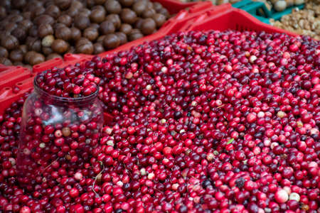 Red fresh healthy cranberries and lingonberries in a street food market ready to sell and eatの写真素材