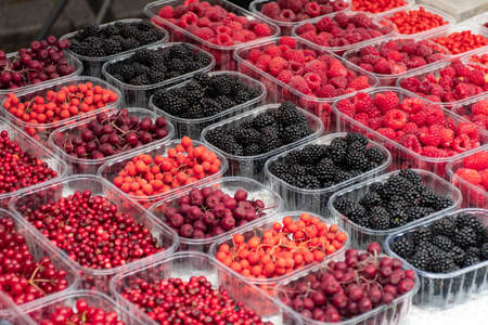 Red and black fresh healthy berries, cranberries, lingonberries, raspberries, blackberries in a...