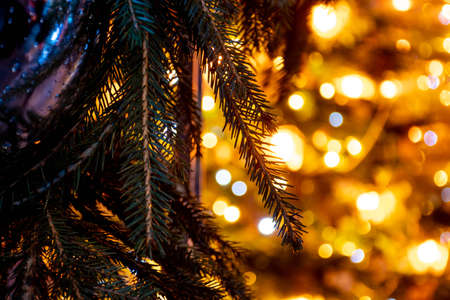 Abstract background yellow bokeh lights and branches of a tree in winter, Christmas background, cozy and warm feelingsの写真素材