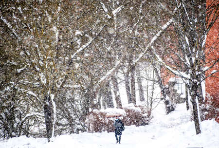 White winter landscape with buildings, street and trees covered by the snow and people walking on the sidewalk during a big snowfall in the city of Vilnius, Lithuaniaの写真素材