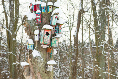Group of beautiful colorful wooden bird houses with roofs covered by snow in a forest or park in...