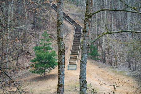 Wooden stairway climbs up the hill between trees in a park, woods or forest in late winter or early...
