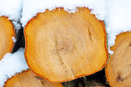 Stack composed of blocks, pieces or logs of wood in winter or spring covered by snow. Stacking wood for drying and storage, close upの写真素材