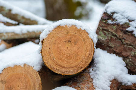 Stack composed of blocks, pieces or logs of wood in winter or spring covered by snow. Stacking wood for drying and storage, close upの写真素材