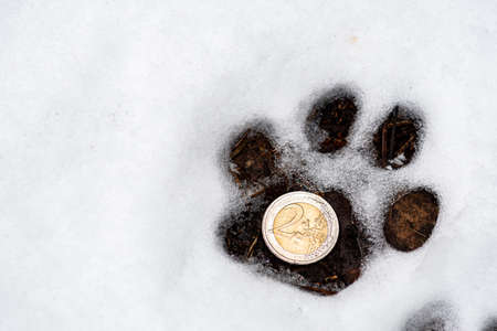 Dog footprint in the snow in winter or spring in the forest or woods, close up, with 2 euros coinの写真素材