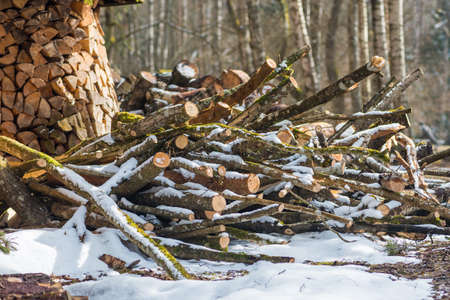 Stack or pile composed of blocks, pieces or logs of wood in winter or spring with snow. Stacking wood for drying and storageの写真素材