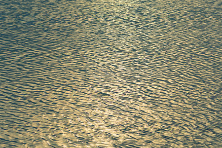 Small waves abstract or rippled water texture background, lake, sea or river with sunset or sunrise reflection, water surfaceの写真素材