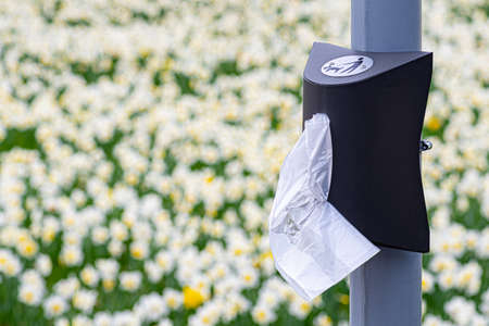 Box with plastic bags for walking dog in the park. Dog car station with nature background with grass...