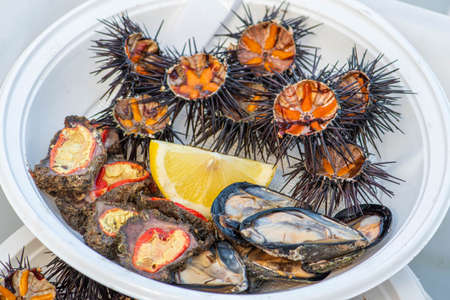 Opened sea urchins with orange eggs, mussels and raw microcosmus sabatieri, grooved sea squirt,...