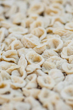 Fresh orecchiette or orecchietta, made with durum wheat and water, handmade pasta typical of Puglia or Apulia, a region of Southern Italy, close up, verticalの写真素材