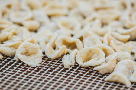 Fresh orecchiette or orecchietta, made with durum wheat and water, handmade pasta typical of Puglia or Apulia, a region of Southern Italy, close upの写真素材