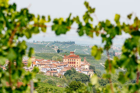 View of Barolo through a vineyard, in Langhe wine district, Piemonte, Italy, in September before harvest, close upの写真素材