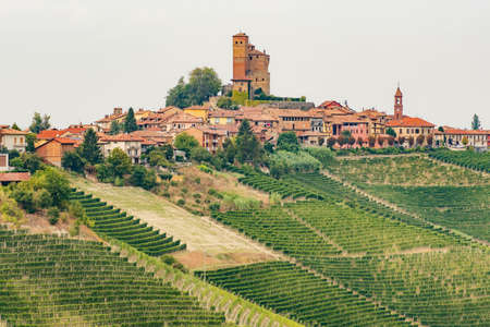 Beautiful view of Serralunga d'Alba with castle and nebbiolo grapes vineyards, Piemonte, Langhe wine district, Italyのeditorial素材