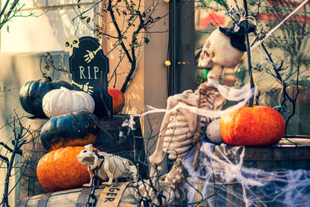 Halloween background with orange, black and white halloween pumpkins, skeleton of man and dog, grave with the word RIP and cobwebsの写真素材