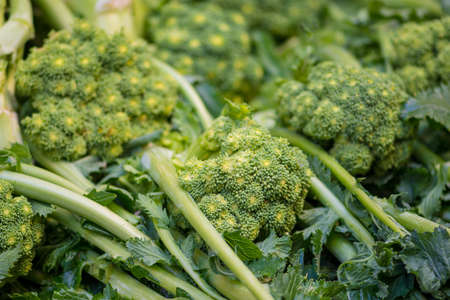 Cime di rapa, rapini or broccoli rabe in a street food market, green cruciferous vegetable, veggies, mediterranean cuisine, Puglia, Italyの写真素材