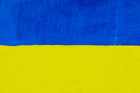 Beautiful painted Ukrainian flag during a peaceful demonstration against war, Putin and Russia in...