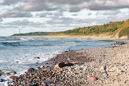 Beautiful stony beach and sandy dunes with pine trees, coastline on the Baltic Sea in Lithuania's Seaside Regional Parkの写真素材