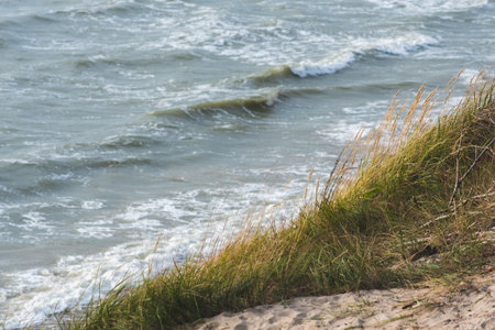 Beautiful rough gray sea with waves, dramatic cloudy gray sky with reeds and dry grass among the dunes, travel and holidays concept, sea landscape on the Baltic Sea in Lithuaniaの写真素材