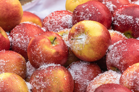 Fresh red apples covered by the snow in a farmer agricultural open air market, seasonal healthy food. Concept of biological, bio products, bio ecology, grown by yourself, vegetarianismの写真素材