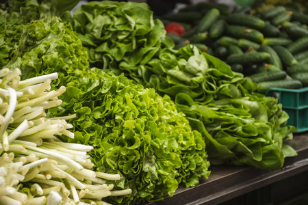 Selling various types of lettuces and green salads in a street food market in Vilnius, Lithuania, Europe, close upの写真素材