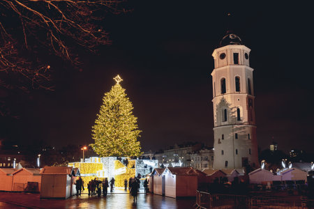 Vilnius, Lithuania - December 5 2023: Beautiful real Christmas tree with market, people and tourists celebrating 700th anniversary of the city, Vilnius Cathedral square, Lithuania,のeditorial素材