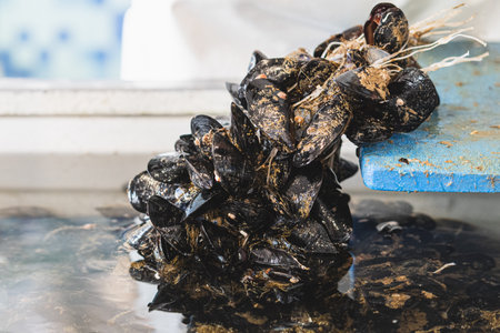 Fresh raw black mussels mollusk in a local fish shop or market for selling, sea fruits, close upの写真素材