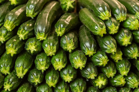 Fresh green zucchini or courgette displayed in a row in a farmer agricultural open air market, seasonal healthy food. Concept of biological, bio products, bio ecologyの写真素材