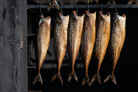 Hanging smoked mackerel, smoked with hardwood wood chips in a smoker and ready to eat in a fish street marketの写真素材