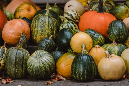 A colorful assortment of pumpkins and gourds in various shapes, sizes, and colors. The image...