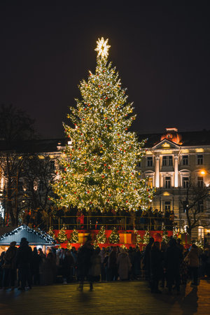 Vilnius, Lithuania - November 30 2025: A brightly lit Christmas tree in a festive city square in Vilnius, Lithuania, Europe, at night, surrounded by people, holiday lights and marのeditorial素材