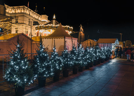 Vilnius, Lithuania - November 30 2025: Carousel and Christmas trees at night in a festive city square in Vilnius, Lithuania, Europe, surrounded by people, holiday lights and marketのeditorial素材