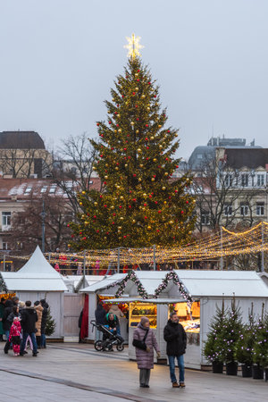 Vilnius, Lithuania - November 30 2025: A brightly lit Christmas tree in a festive city square in Vilnius, Lithuania, Europe, during the day, surrounded by people, holiday lights aのeditorial素材