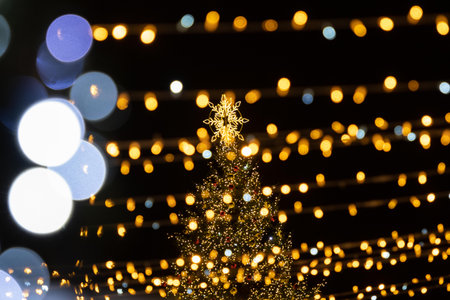A large outdoor Christmas tree in Vilnius, decorated with warm white lights and ornaments, topped with a glowing star, standing in a festive setting with strings of lightsの写真素材