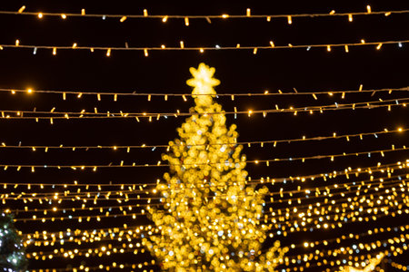 A large outdoor Christmas tree in Vilnius, decorated with warm white lights and ornaments, topped with a glowing star, standing in a festive setting with strings of lightsの写真素材