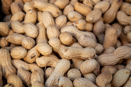 Close-up view of raw peanuts in shells showing natural texture and earthy tonesの写真素材