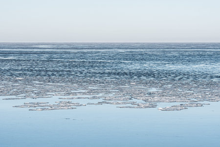 Calm winter sea dotted with floating ice floes under a pale sky