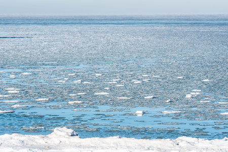 Calm winter sea dotted with floating ice floes under a pale sky