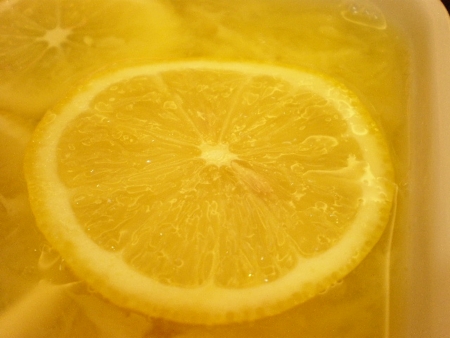 Close up of dessert with lemon slices    の写真素材