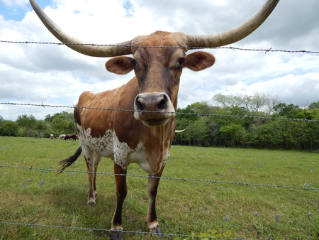 Helloの写真素材