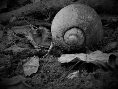 Desertedの写真素材