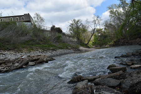 Bayouの写真素材