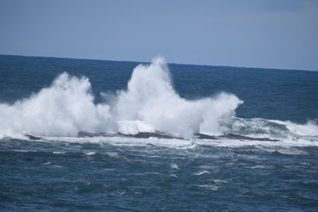 Waves on the Pacific Oceanの写真素材