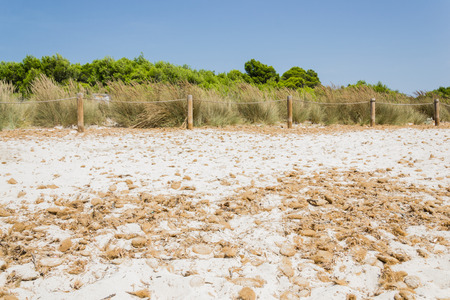 Beach of Arenal de Son Saura - Minorca  - Spainの写真素材