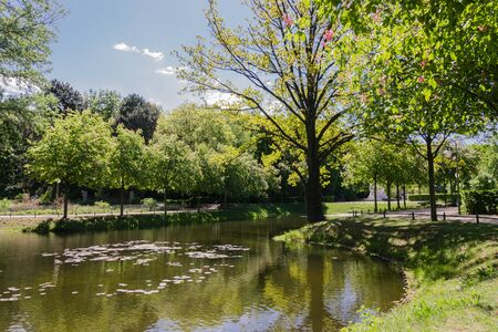 Inside the park of Berlin - Germanyの写真素材