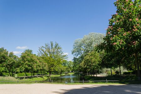 Inside the park of Berlin - Germanyの写真素材