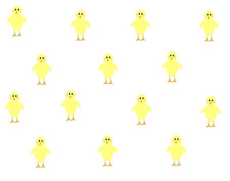 Cassie the chick in the form of a cute little background great for Easter or Springtimeの写真素材